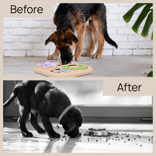 犬用知育玩具「早食い防止パズル」